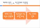 911 테러와 미국의 국내정치,알카에다,911테러,알카에다조직,911 테러의 원인과 피해,미국내의여론,음모론설 17페이지