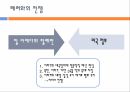 911 테러와 미국의 국내정치,알카에다,911테러,알카에다조직,911 테러의 원인과 피해,미국내의여론,음모론설 25페이지