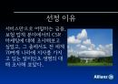 Allianz,Allianz 기업 분석,Allianz 의 CSR,타 기업 CSR,ING 생명,그라민은행 3페이지