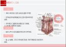 감각계통,외피,시각기관,평형감각,청각기관,후각기관,미각기관 6페이지