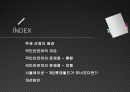 국민안전처의 방향성,국민안전처의 문제점,국민안전처,국민안전처의 개요,국민안전처의 조직도,국민안전처의 문제점 2페이지