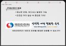 국민안전처의 방향성,국민안전처의 문제점,국민안전처,국민안전처의 개요,국민안전처의 조직도,국민안전처의 문제점 4페이지