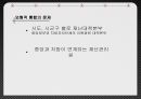국민안전처의 방향성,국민안전처의 문제점,국민안전처,국민안전처의 개요,국민안전처의 조직도,국민안전처의 문제점 15페이지
