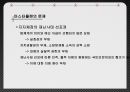 국민안전처의 방향성,국민안전처의 문제점,국민안전처,국민안전처의 개요,국민안전처의 조직도,국민안전처의 문제점 20페이지