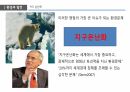 국제 개발 협력,환경과 발전,인구 감소,삼림 벌채,사막화,환경 정치경제학,재생가능 에너지 6페이지
