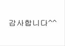 다문화교육,유럽의다문화교육,다문화주의란,다문화교육이란,유럽의다문화적특징 29페이지