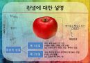로크,로크배경,로크사상,백지론,로크의의와영향,로크의한계 13페이지
