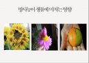 방사능,방사선의 정의,방사능영향,DNA 손상,세포조직손상,일본 원전 사고,해양 생태계,해양 수산물,방사선 이용 17페이지