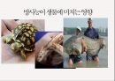 방사능,방사선의 정의,방사능영향,DNA 손상,세포조직손상,일본 원전 사고,해양 생태계,해양 수산물,방사선 이용 18페이지