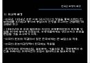 베트남전파병,박정희대통령의결정과고민,베트남전소개,베트남전쟁배경,한국군파경배경,우리나라에미친영향 10페이지