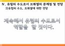 유럽의수도,브뤼셀,언어권,지방색,유럽의회,브뤼셀과스트라스부르 27페이지