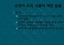 유전자 조작,유전자 조작 식품,유전병 치료,유전자 조작의 방법,유전자 조작의 역사 24페이지