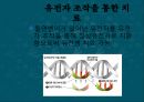 유전자 조작,유전자 조작 식품,유전병 치료,유전자 조작의 방법,유전자 조작의 역사 27페이지