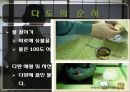일본이다도문화,일본다도의유래,일본다도의정의 31페이지