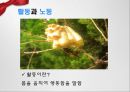 자본주의와조동의체제,활동과노동의차이,근대적노동으체제와정치,자본주의,노동자투쟁 4페이지