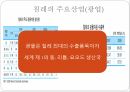 칠레의경제,칠레의주요경제,칠레의주요산업,한국칠레FTA,한국과칠레와의관계 12페이지