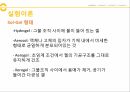 칠레의경제,칠레의주요경제,칠레의주요산업,한국칠레FTA,한국과칠레와의관계 29페이지