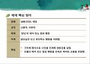 한국의말,재미있는말,재담 23페이지
