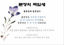 현행학교문법,문법,형태소,단어형성법,단어의품사분류,문장성분의종류,문장의짜임새 23페이지