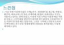 황금비,레오나르도 다빈치,균제비례,피타고라스의 정리,원근법,투시원근법,마방진 22페이지