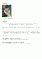 SN1 Reaction  2-Chloro-2-methylbutane의 합성_결과보고서 4페이지