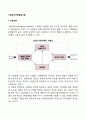 사회복지정책 발달이론 2페이지