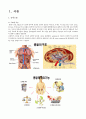 성인간호실습 만성신부전CASE 문헌고찰 간호진단수행중재5개 NANDA간호진단 3페이지