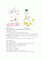 면역과민반응의 종류와 개요 (Hypersensitivity reactions) 8페이지