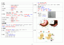 국가고시 해부생리학 정리 (가로 Ver) 13페이지