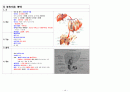 국가고시 해부생리학 정리 (가로 Ver) 15페이지