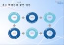 세계해양산업, 해양개발, 해양상품개발, 해양 관광 활성화 방안 27페이지