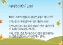 사이코드라마의 역사(모레노의 생애, 사회의학의 발전, 젤카 모레노의 공헌을 중심으로) 15페이지