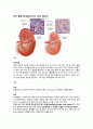 만성 콩팥기능상실 문헌고찰 2페이지