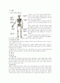 골절 케이스 스터디 간호진단3개,간호과정3개 1페이지