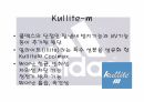 의류신소재 아디다스와 신소재 개발 27페이지