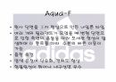의류신소재 아디다스와 신소재 개발 29페이지