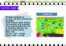 여행상품기획 45페이지