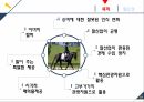 마케팅커뮤니케이션-승마사업 활성화 4페이지