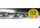 마케팅커뮤니케이션-승마사업 활성화 6페이지