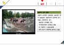 마케팅커뮤니케이션-승마사업 활성화 15페이지