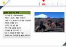 마케팅커뮤니케이션-승마사업 활성화 16페이지