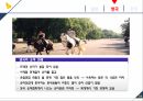 마케팅커뮤니케이션-승마사업 활성화 17페이지