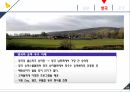 마케팅커뮤니케이션-승마사업 활성화 18페이지