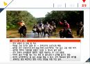 마케팅커뮤니케이션-승마사업 활성화 19페이지