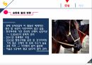 마케팅커뮤니케이션-승마사업 활성화 24페이지