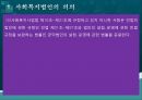 사회복지법인,사회복지법인의 의의,사회복지법인의 설립,사회복지법인의 사업,사회복지시설의 설치 6페이지
