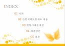 산업재해보상보험,산업재해보험제도내용,현황사례문제점 2페이지