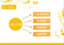 산업재해보상보험,산업재해보험제도내용,현황사례문제점 96페이지