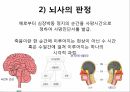 영적간호,생의윤리,생의윤리원칙,뇌사의정의,뇌사의판정,장기이식,심폐소생술,스트레스요인,스트레스증상 24페이지