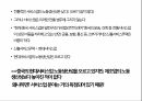 중국 공산당,중국 경제정책,중국개혁,정치부패반대,중국의 서비스업,신흥경제체제 WTO,국가자산부채위기 17페이지
